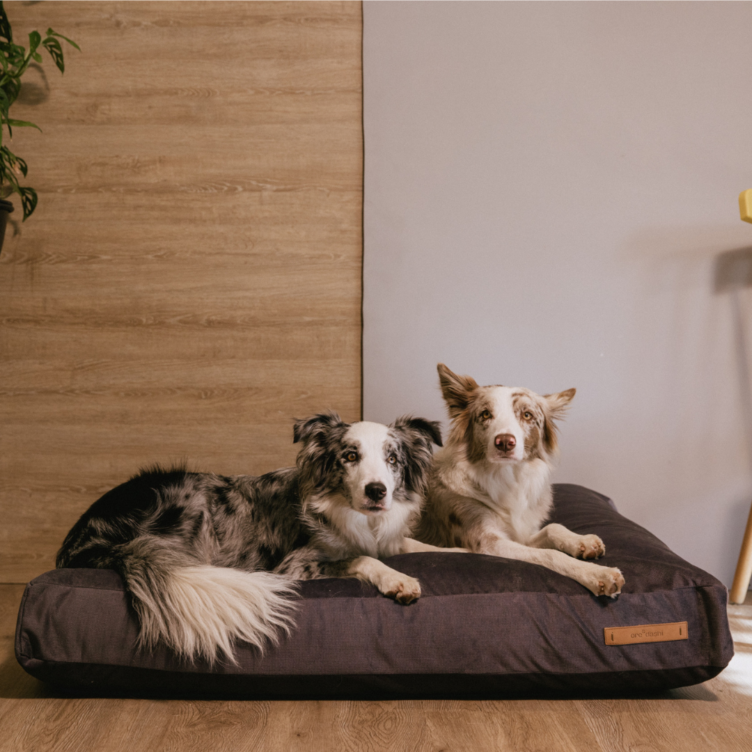 Cama Quan | Minimalismo Hecho Confort