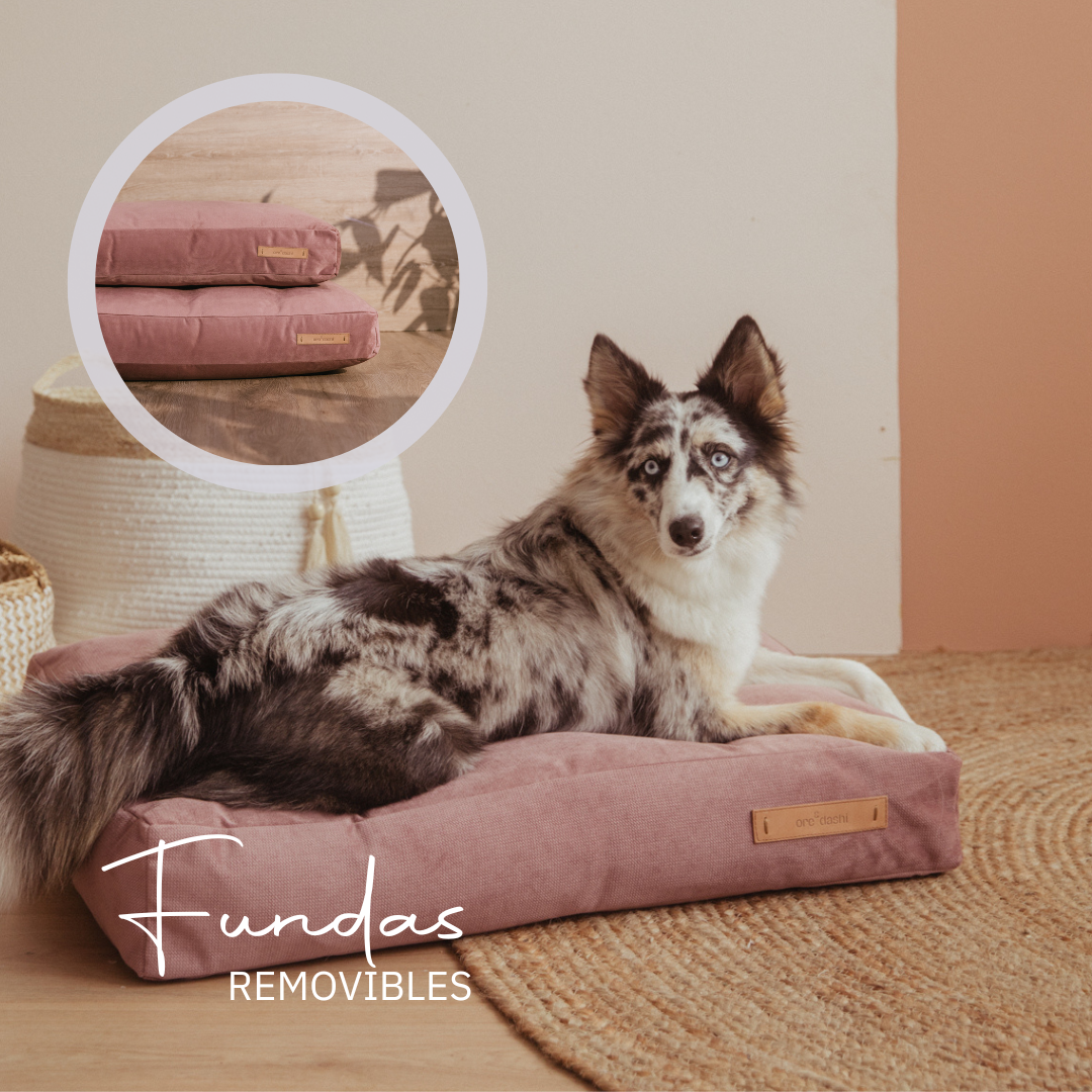 Funda Cama Cojín Quan (Bajo Pedido)