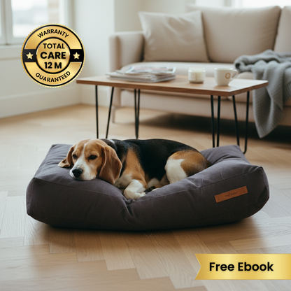 Cama Quan | Minimalismo Hecho Confort