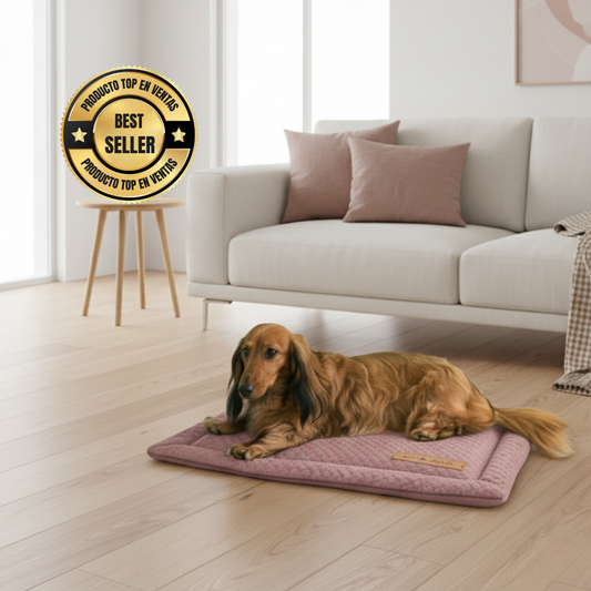 Comfy Pad | La Cama Portátil que Todo Pet Lover Necesita