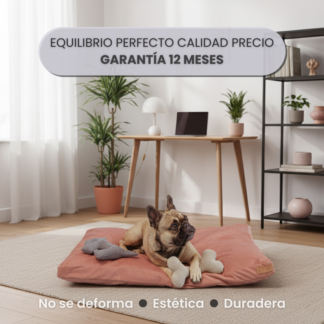 Cama Arya | Equilibrio Calidad - Precio