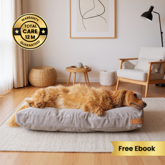 Cama Arya | Equilibrio Calidad - Precio