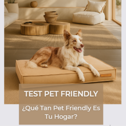 Test: ¿Qué tan Pet Friendly es REALMENTE tu hogar?