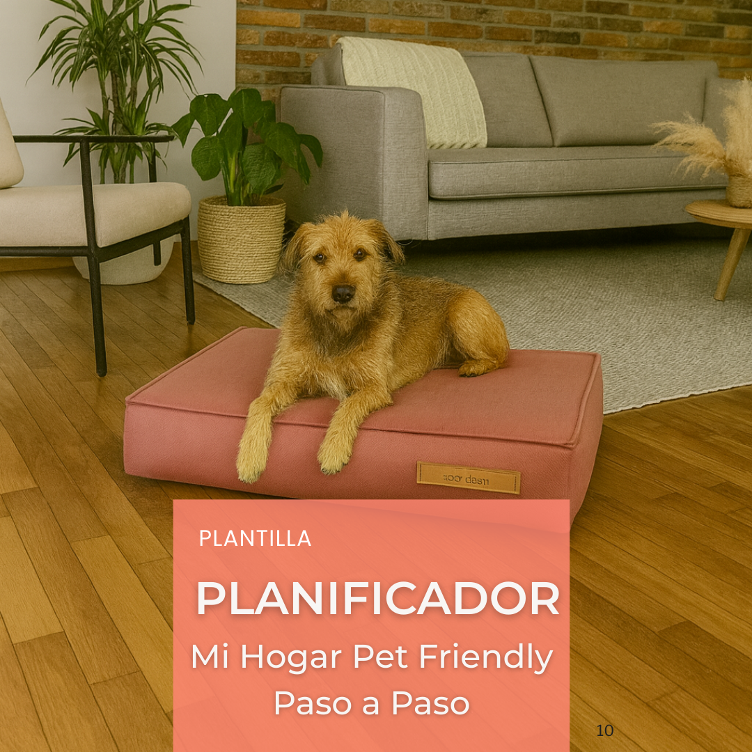 Mi Hogar Pet Friendly: De Caos a Calma en 30 Días