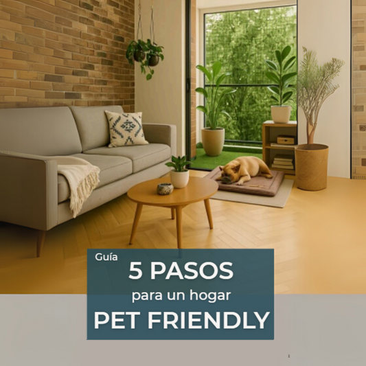 5 Pasos para un Hogar Pet Friendly | Transforma tu hogar en solo 1 fin de semana