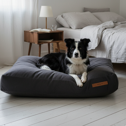 Cama Quan | Minimalismo Hecho Confort
