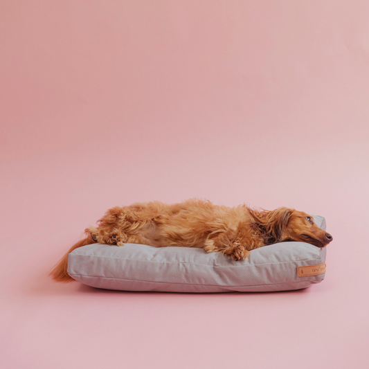 Cama Arya | Equilibrio Calidad - Precio