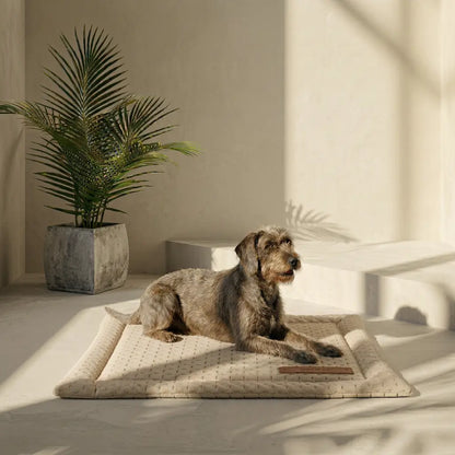 Comfy Pad | La Cama Portátil que Todo Pet Lover Necesita