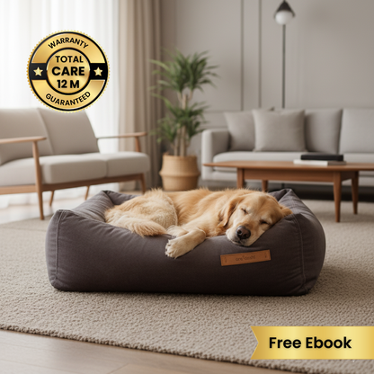 Cama Kuna Premium | La Perfección en Comodidad, Diseño y Calidad