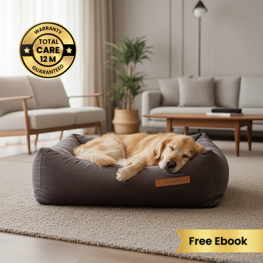 Cama Kuna Premium | La Perfección en Comodidad, Diseño y Calidad