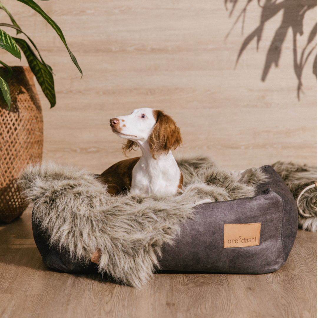 Cama con discount cobija para perros